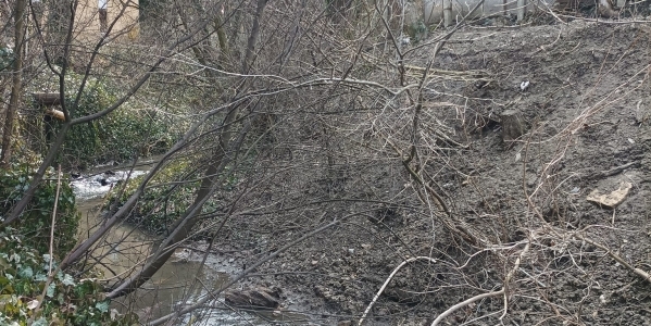 Pârâul Popii, afluent al Someșului, care se varsă în Canalul Morii, poate să devină cel mai mare parc liniar și un culoar de mobilitate important pentru Cluj!