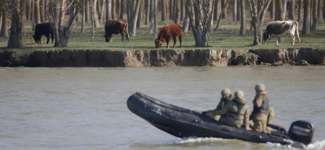 Fotografia dimineții este de la exercițiul multinaţional Sea Shield, care a avut loc în Delta Dunării, în această săptămână
