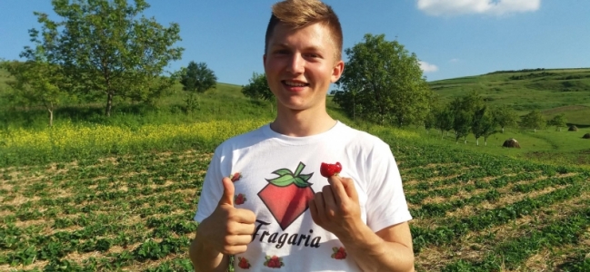 Povestea lui Dragoș Mărchiș, studentul care îndulcește România cu fructe naturale
